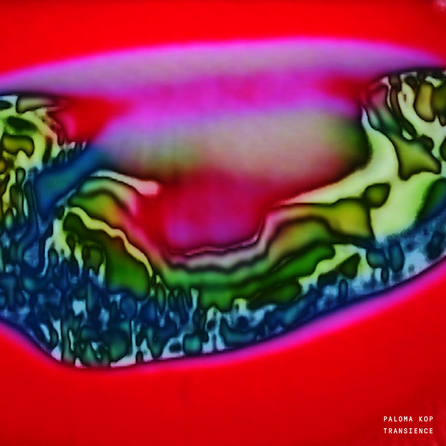 Artists Stand Up For Covid-19 Relief By Audiovisual Compilation 'Solace' Artists Stand Up For Covid-19 Relief By Audiovisual Compilation 'Solace'