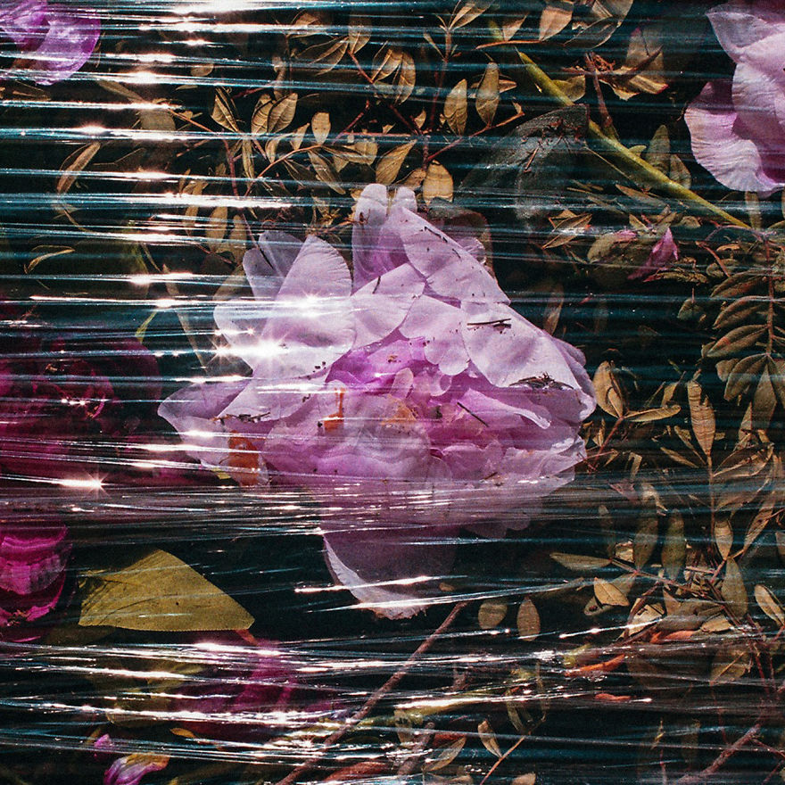 Artists Stand Up For Covid-19 Relief By Audiovisual Compilation 'Solace'