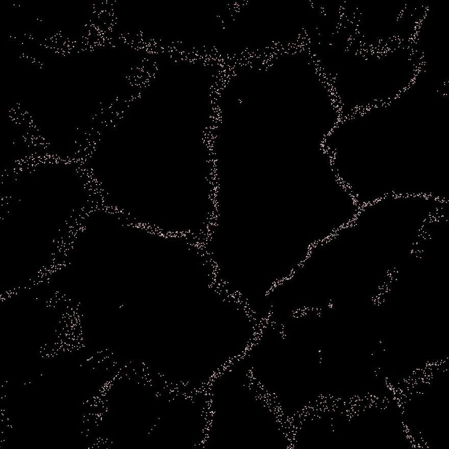 Artists Stand Up For Covid-19 Relief By Audiovisual Compilation 'Solace' Artists Stand Up For Covid-19 Relief By Audiovisual Compilation 'Solace'