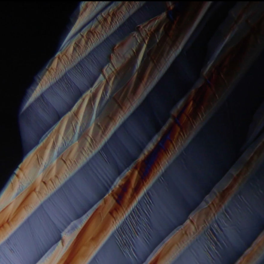 Artists Stand Up For Covid-19 Relief By Audiovisual Compilation 'Solace' Artists Stand Up For Covid-19 Relief By Audiovisual Compilation 'Solace'