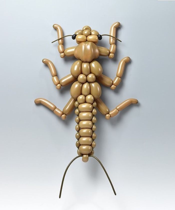 Stonefly Nymph
