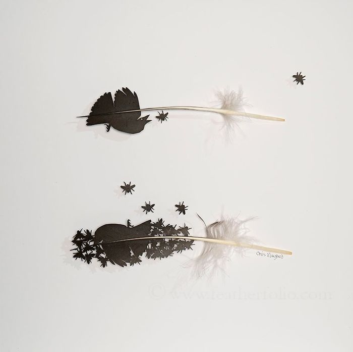 Chris Maynard At Featherfolio Returns With More Feather Carvings