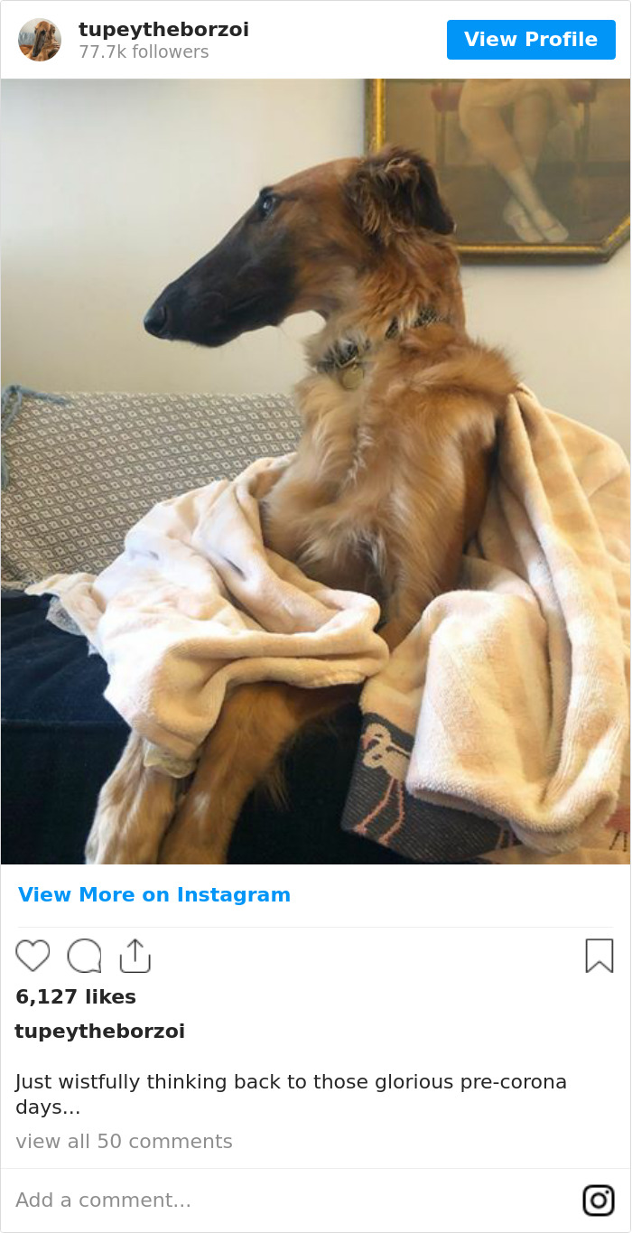 Just Wistfully Thinking Back To Those Glorious Pre-Corona Days...