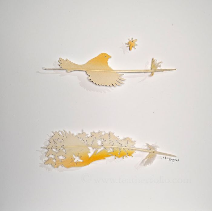 Chris Maynard At Featherfolio Returns With More Feather Carvings