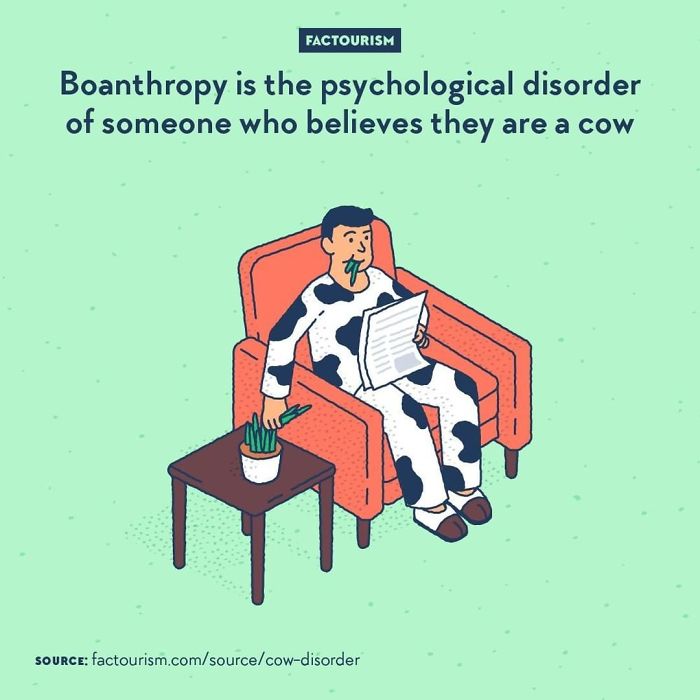 Illustrated-Facts-Factourism