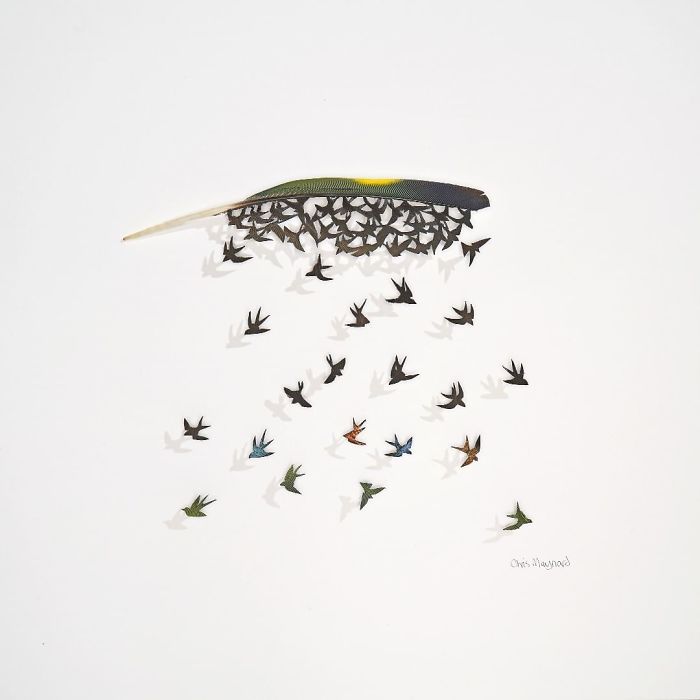 Chris Maynard At Featherfolio Returns With More Feather Carvings