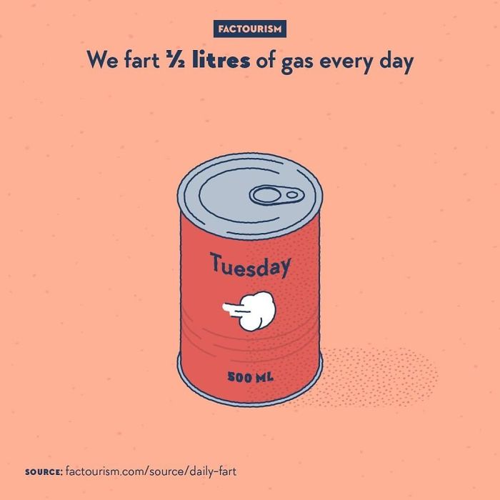 Illustrated-Facts-Factourism