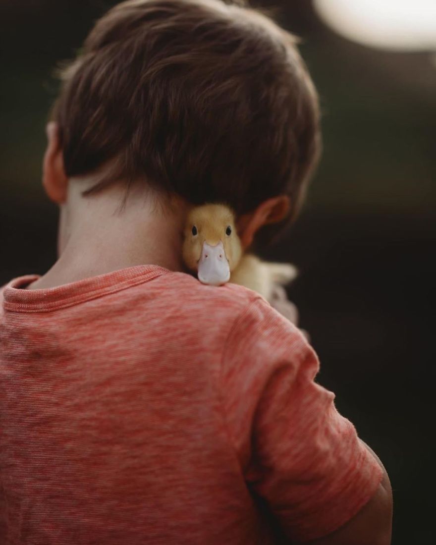 I Capture Children With Animals And Create Magical Moments.
