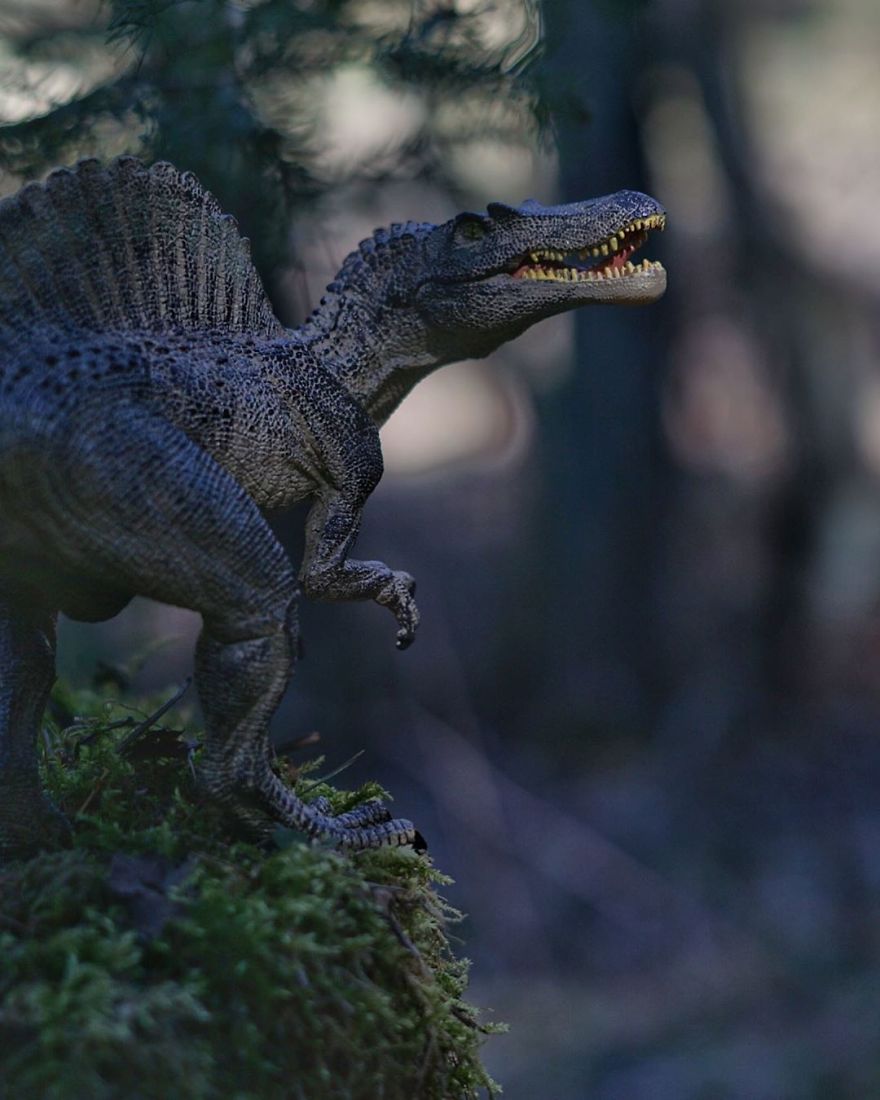 Mother Of 2 Captures The Magic World Of Toys During Quarantine