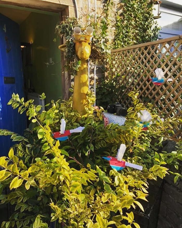 Gloria Has Decided To Go Bird Watching