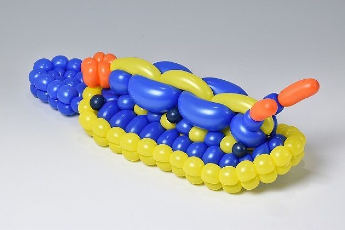 Sea Slug (Hypselodoris Festiva)