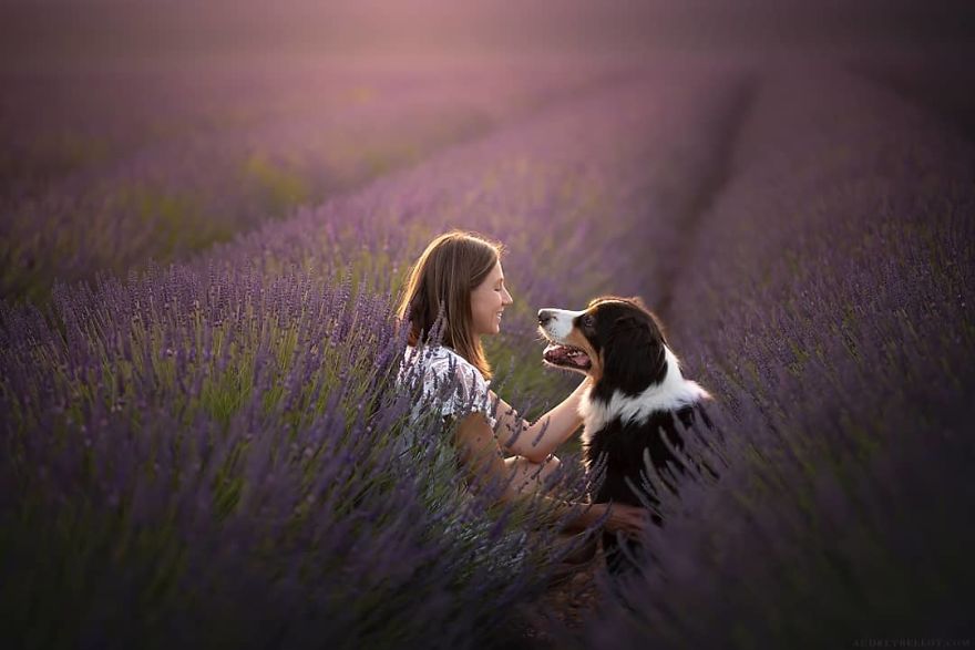 I Photograph Captivating Dog Portraits In Magical Forests And Unbelievable Places