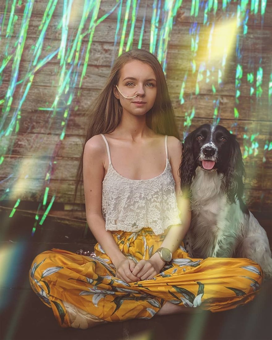 A Girl With A Disability Has The Most Adorable Helper - A Springer Spaniel Named Ted (17 Pics) A Girl With A Disability Has The Most Adorable Helper - A Springer Spaniel Named Ted (17 Pics)