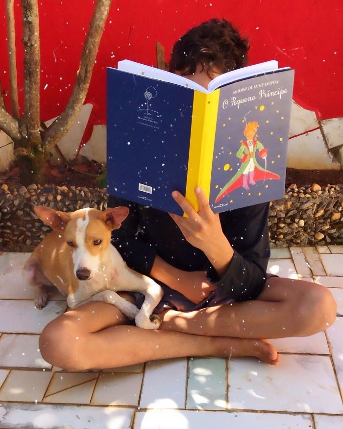 17-Year-Old Opens A Unique Animal Shelter And He Has Already Rescued 22 Dogs And 4 Cats 17-Year-Old Opens A Unique Animal Shelter And He Has Already Rescued 22 Dogs And 4 Cats