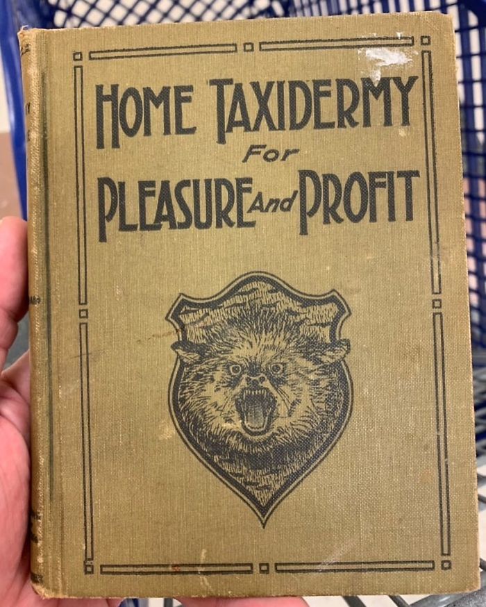 Funny-Thrift-Store-Art