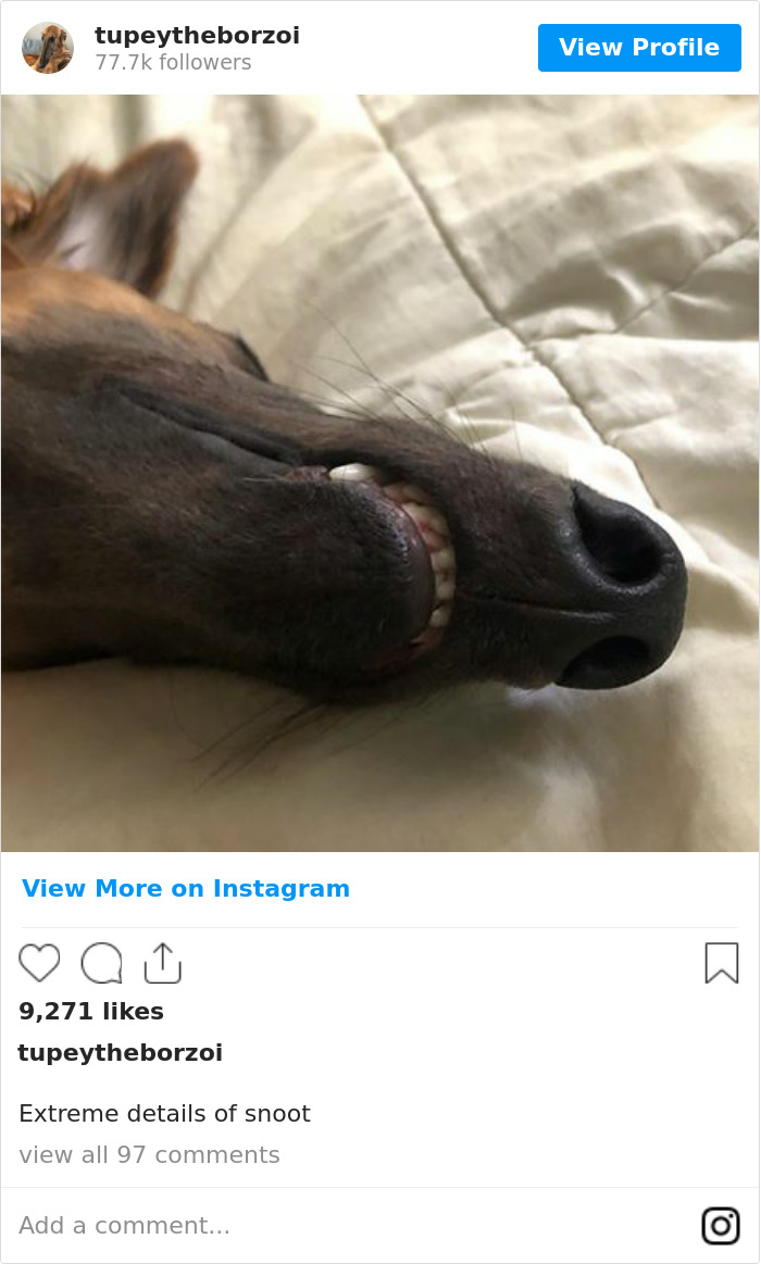 Extreme Details Of Snoot 🔍👀