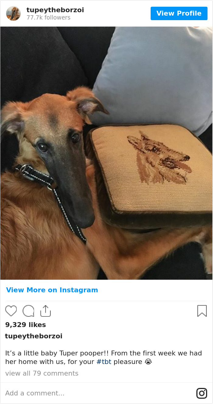 It’s A Little Baby Tuper Pooper!! From The First Week We Had Her Home With Us, For Your #tbt Pleasure 😭💕