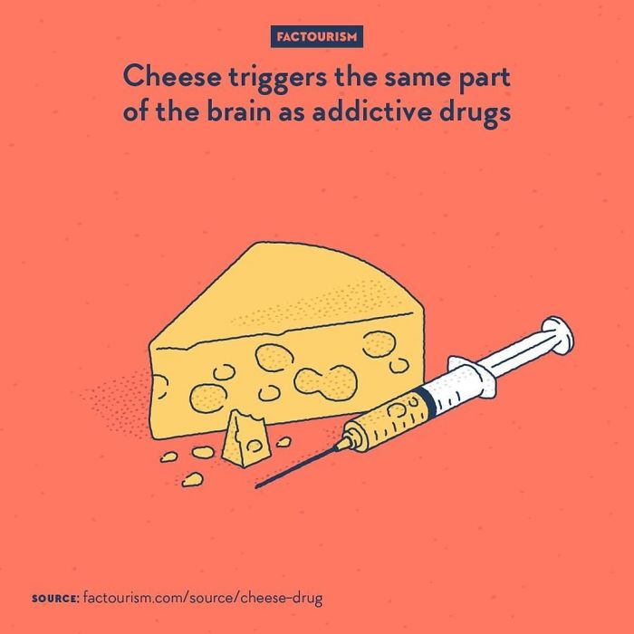 Cheese Addiction