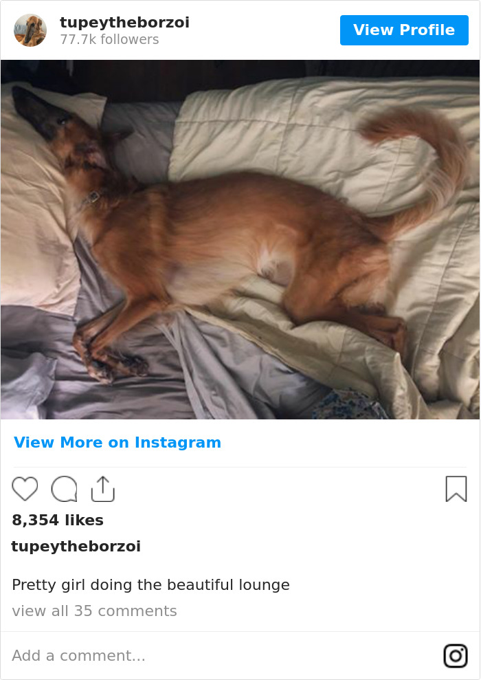 Pretty Girl Doing The Beautiful Lounge 💕