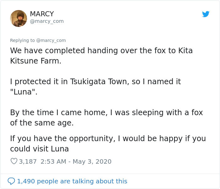 Japanese Man Goes To Social Media To Search For The Owners Of The "Puppy" He Found, Finds Out It's Not A Puppy After All Japanese Man Goes To Social Media To Search For The Owners Of The "Puppy" He Found, Finds Out It's Not A Puppy After All