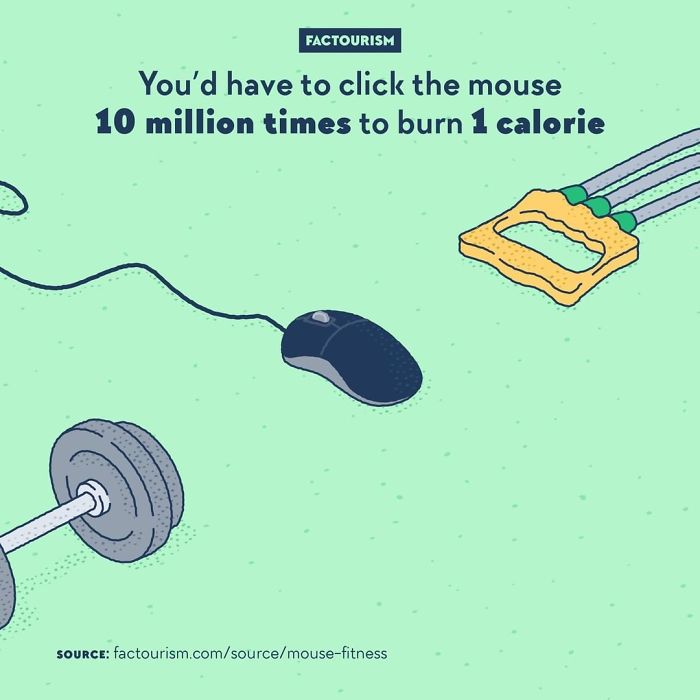 Illustrated-Facts-Factourism