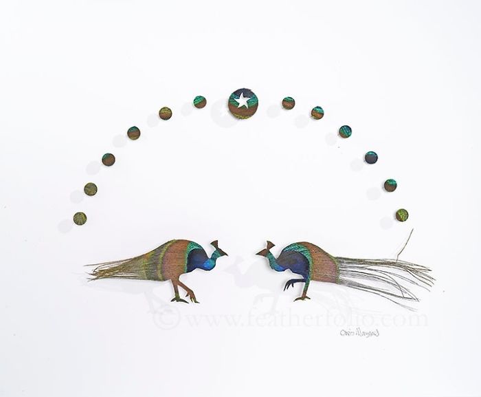 Chris Maynard At Featherfolio Returns With More Feather Carvings