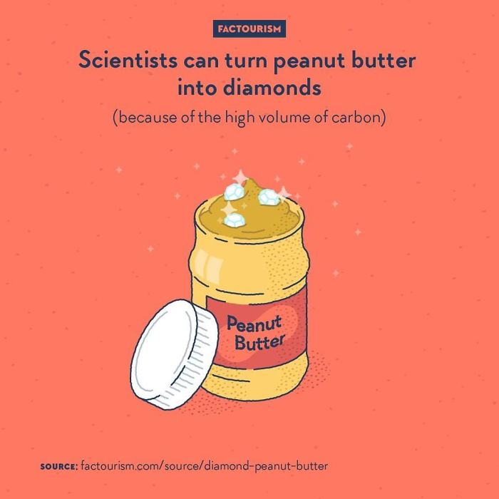 Illustrated-Facts-Factourism