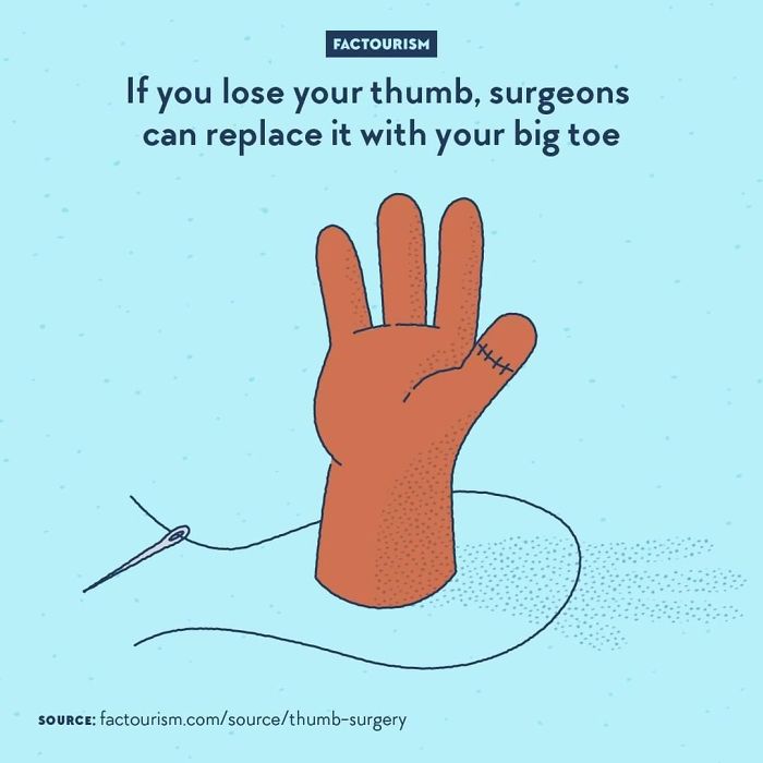 Illustrated-Facts-Factourism