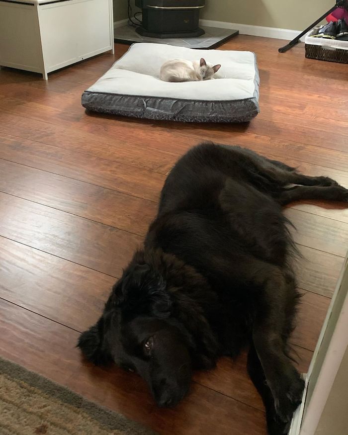 What’s Wrong With This Picture?