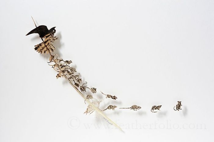 Chris Maynard At Featherfolio Returns With More Feather Carvings