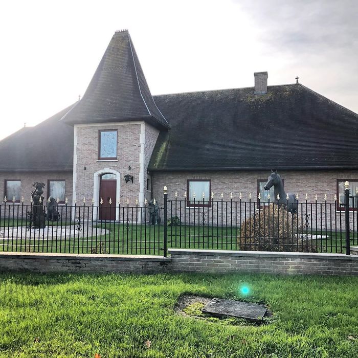 ‘I Fok Horses.’ ‘Pardon?’ Yes, Paarden!