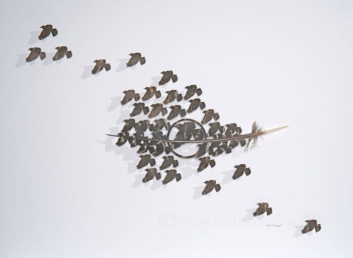 Chris Maynard At Featherfolio Returns With More Feather Carvings