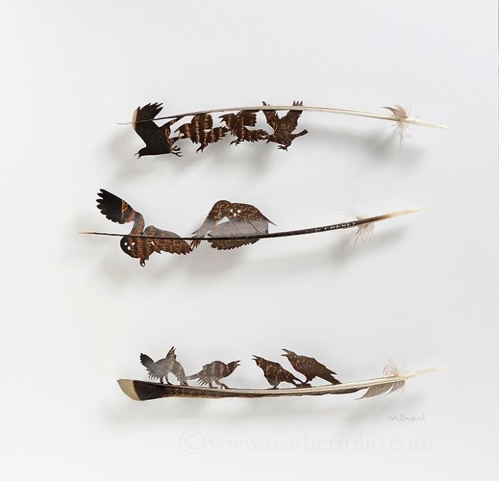 Chris Maynard At Featherfolio Returns With More Feather Carvings