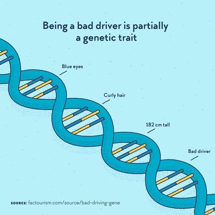 Illustrated-Facts-Factourism