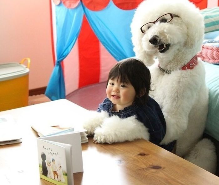 Child-Poodle-Dog-Friendship-Tamanegi-Qoo-Riku