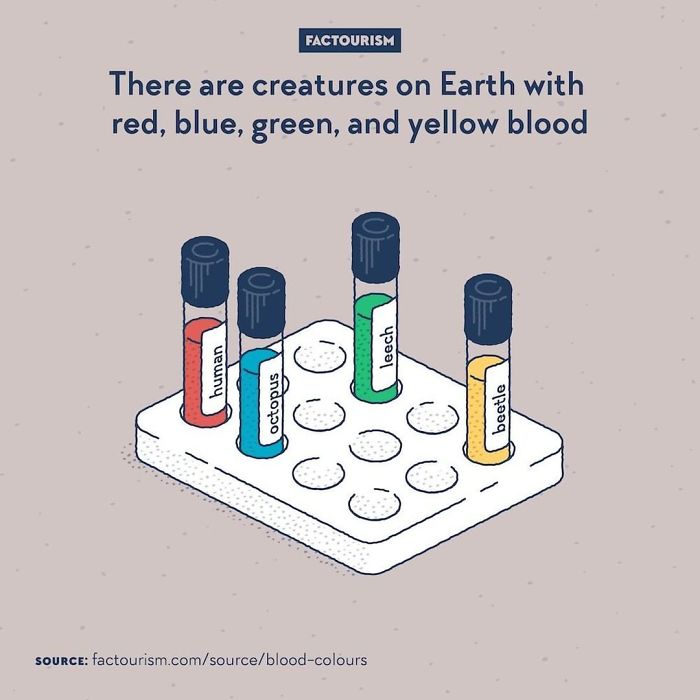 Illustrated-Facts-Factourism