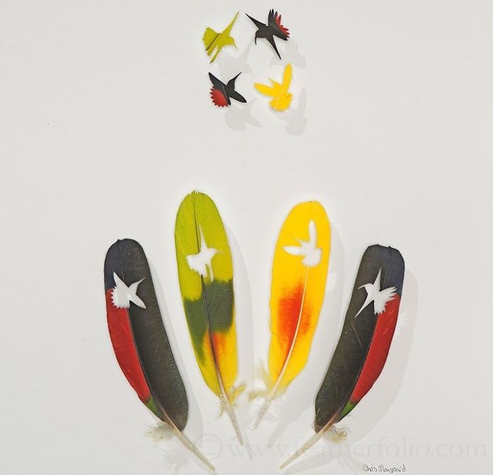 Chris Maynard At Featherfolio Returns With More Feather Carvings