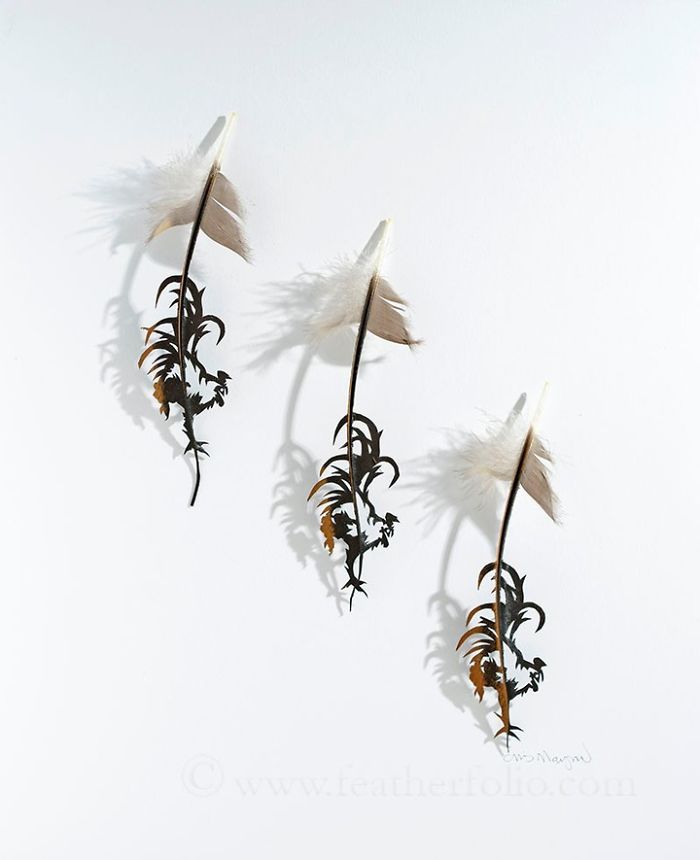 Chris Maynard At Featherfolio Returns With More Feather Carvings