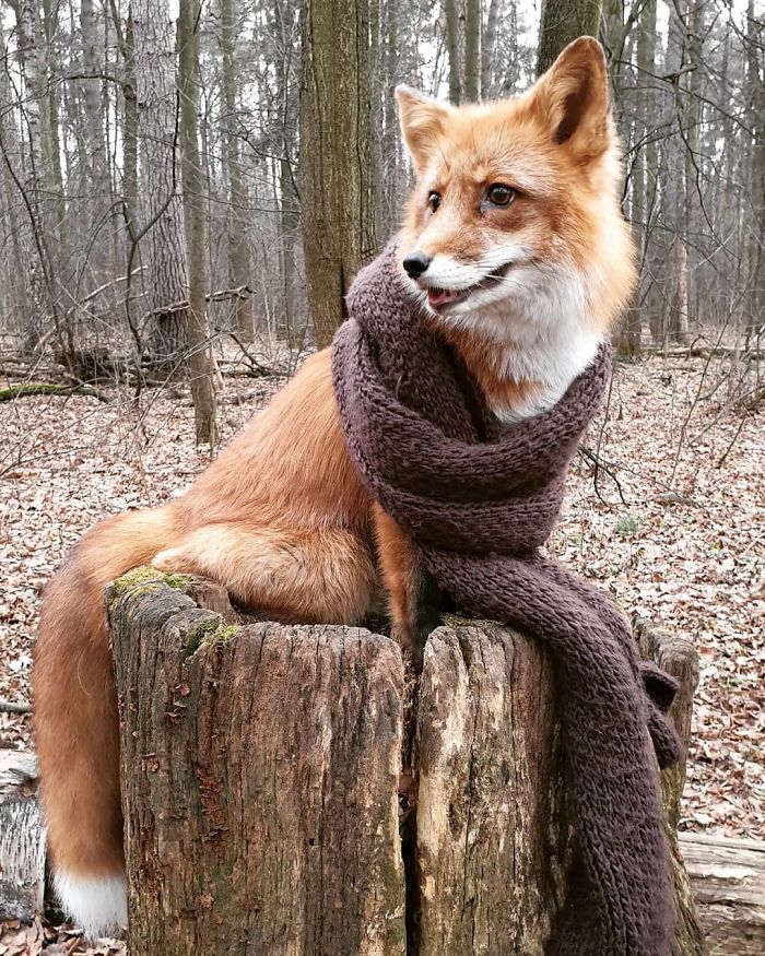 December Came To The Yard