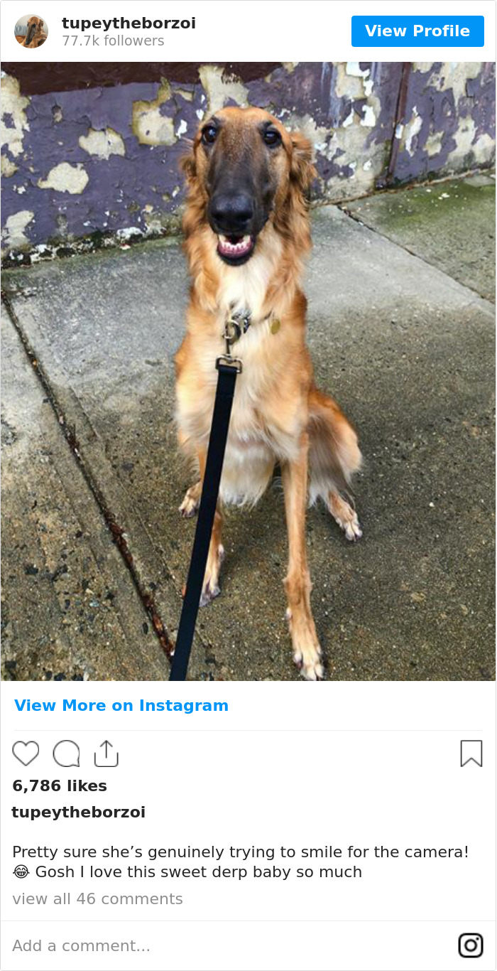 Pretty Sure She’s Genuinely Trying To Smile For The Camera! 😂 Gosh I Love This Sweet Derp Baby So Much 💕