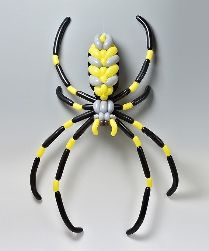 Golden Orb-Web Spider