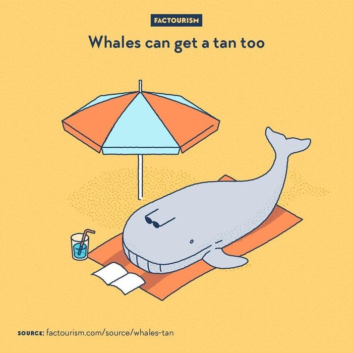 Illustrated-Facts-Factourism