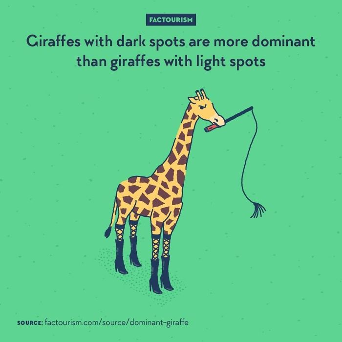 Illustrated-Facts-Factourism