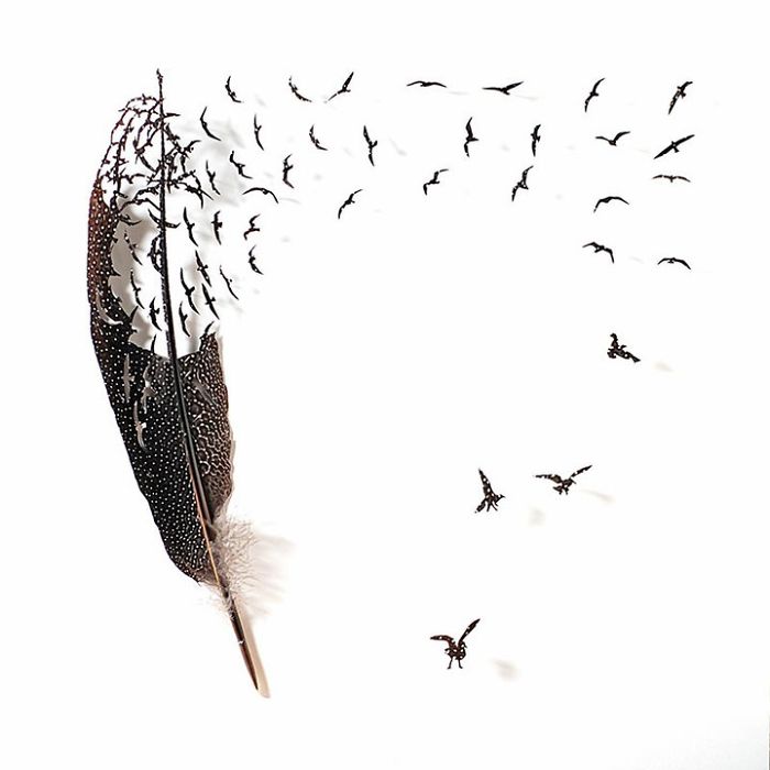 Chris Maynard At Featherfolio Returns With More Feather Carvings