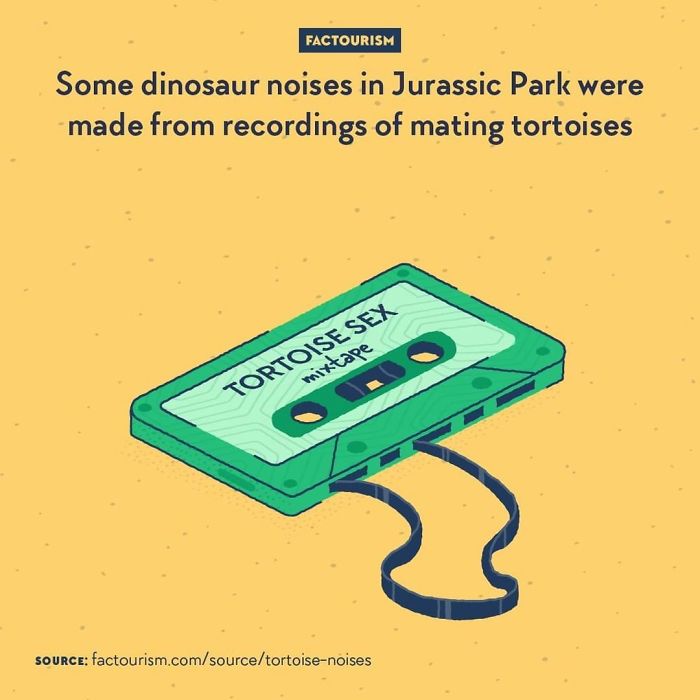 Illustrated-Facts-Factourism