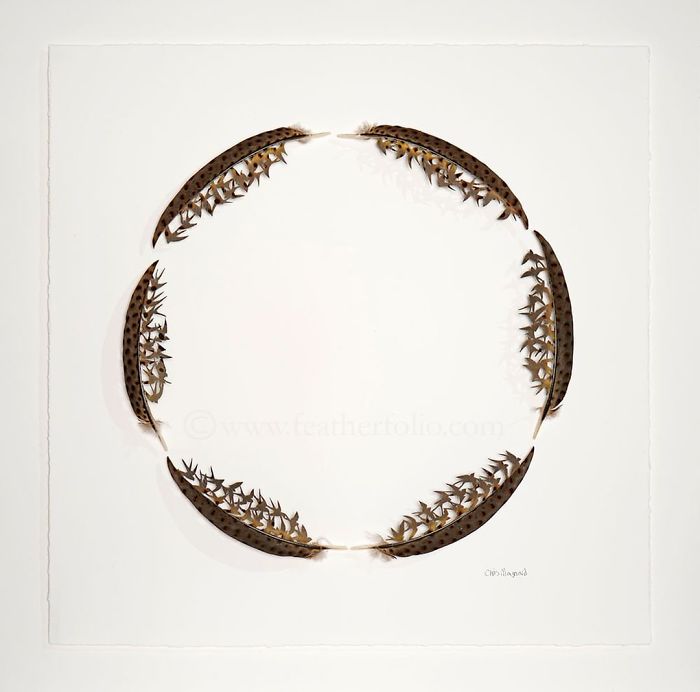 Chris Maynard At Featherfolio Returns With More Feather Carvings