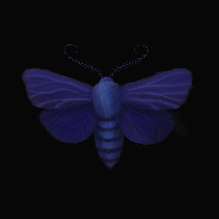 I Created Surreal Moths During Covid-19 Isolation