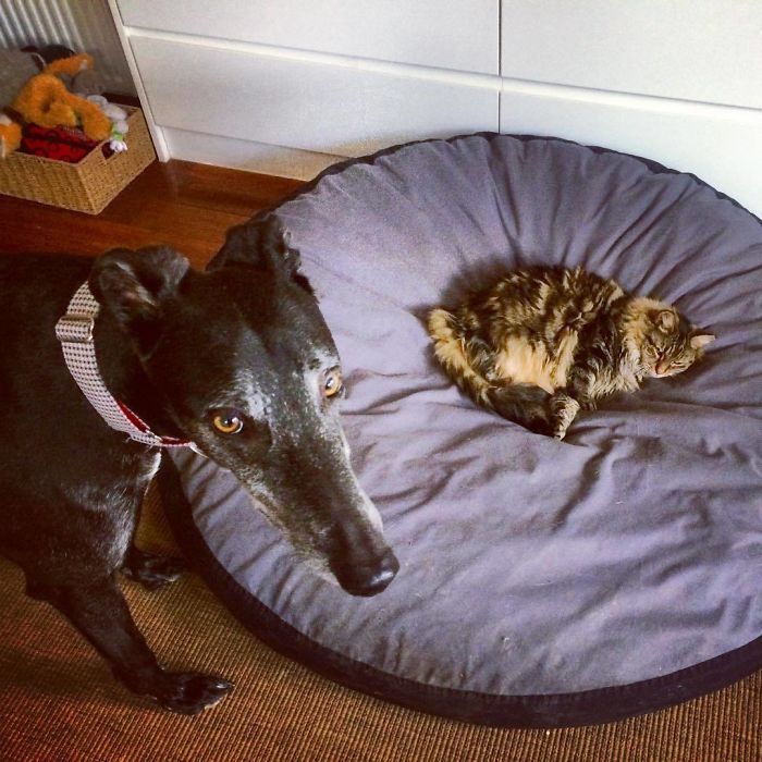 "Ma, Do Something!" Oh Dear, Mona's At It Again