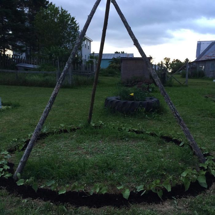 People Are Growing Magical Bean Pole Garden Tents For Their Kids