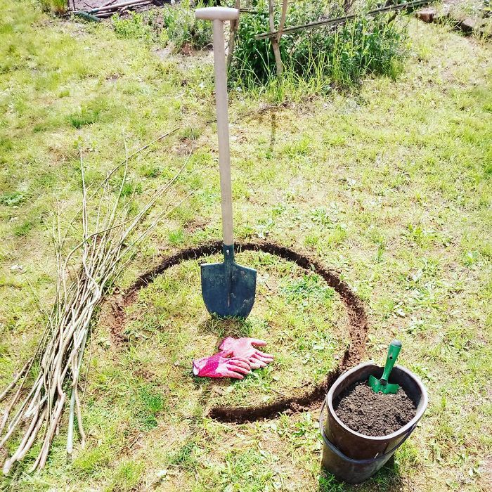 People Are Growing Magical Bean Pole Garden Tents For Their Kids
